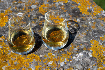 Tasting of single malt Scotch whisky, private whisky tours in Scotland, UK