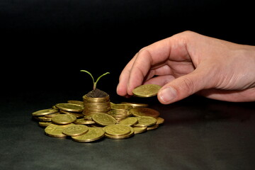 Saving money concept by adding gold coin to a pile of coins with small growth tree