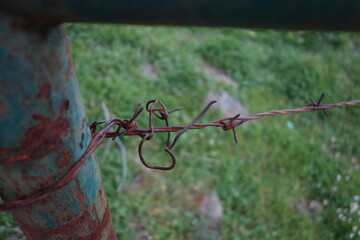 Rusted barbed wire around iron pipe