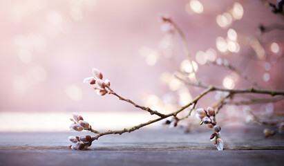 willow branch on the table.