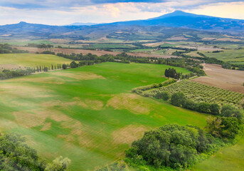 Canvas Print - Aerial view of Tuscany Hills in spring season from drone