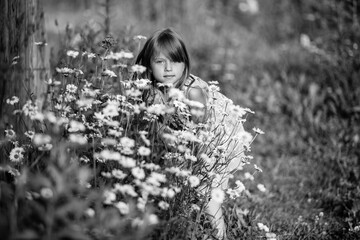 Wall Mural - Portrait of little girl among wildflowers. Black and white photo.