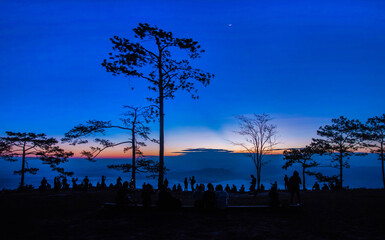 Wall Mural - silhouette tourists come to see the sunrise at pha nok aen. on phu kradueng, thailand