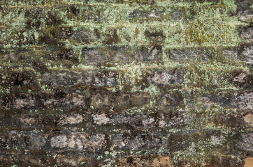 Wall Mural - moisture aged cement brick wall background