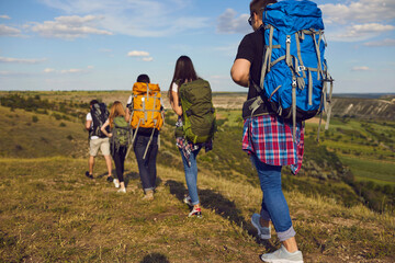 Wall Mural - rear view of young hikers hiking with backpacks in green summer field during summer vacations