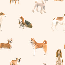 Beautiful Seamless Pattern With Cute Watercolor Hand Drawn Dog Breeds Cocker Spaniel Greyhound Basset Hound Poodle Bulldog And Welsh Corgi Pembroke . Stock Illustration.