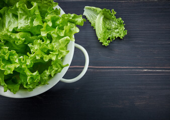 Poster - fresh green lettuce leaves