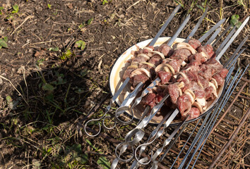 Relaxing in the garden in nature, juicy wild goat kebabs on skewers, a hunter's trophy, cooking kebabs on a fire