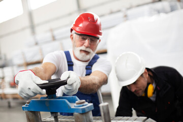 Wall Mural - Portrait of workers in factory. Colleagues with helmet working in factory.