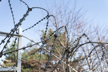 barbed wire on the fence of the restricted area against the background of the sky and trees