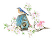 A bird house placed on a blooming apple branch and a pair of the birds hand drawn in watercolor isolated on a white background. Watercolor illustration. Apple blossom. Spring watercolor illustration	