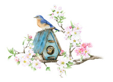 A Bird House Placed On A Blooming Apple Branch And A Pair Of The Birds Hand Drawn In Watercolor Isolated On A White Background. Watercolor Illustration. Apple Blossom. Spring Watercolor Illustration	