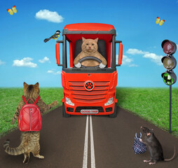 Wall Mural - A beige cat hitchhiker stands on the side of a road and votes to someone to pick him up. A red truck drives up to him.