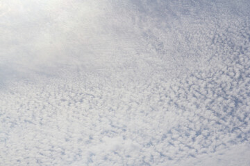 Wall Mural - cirrocumulus cloud. white cloud background and texture. strange cloud shape.