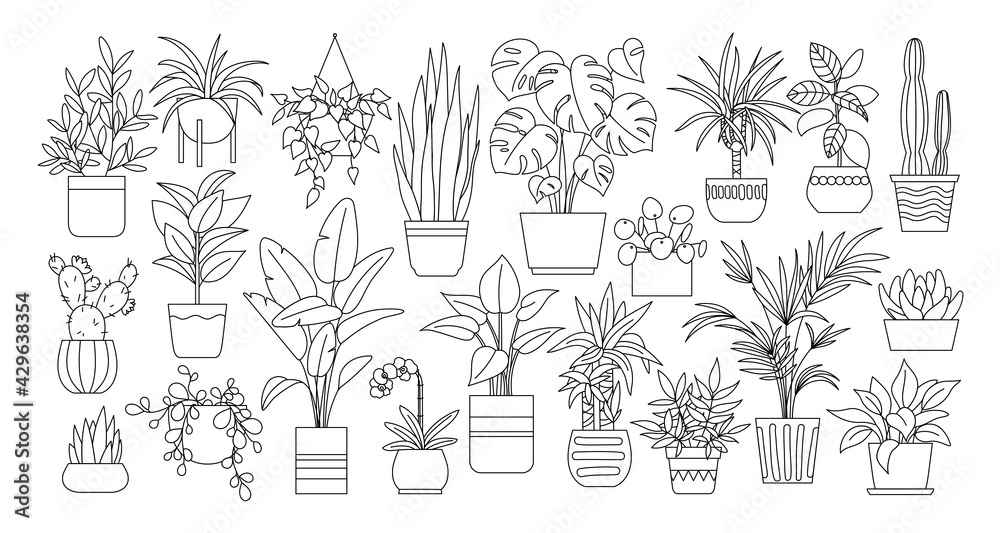 Houseplants. Vector set of outline drawings plants, succulents in pot. Indoor exotic flowers with stems and leaves. Monstera, ficus, pothos, yucca, dracaena, cacti, snake plant for home and interior - obrazy, fototapety, plakaty 
