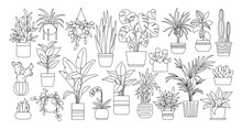 Houseplants. Vector Set Of Outline Drawings Plants, Succulents In Pot. Indoor Exotic Flowers With Stems And Leaves. Monstera, Ficus, Pothos, Yucca, Dracaena, Cacti, Snake Plant For Home And Interior