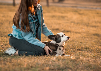 Wall Mural - Happy Corgi dog with owner Training in summer park