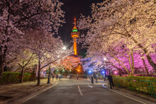 Daegu, South Korea - April 28, 2021 See The Cherry Blossom Night At E-World 83 Tower.