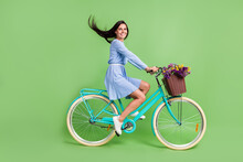 Photo Of Pretty Funny Young Lady Wear Dotted Clothes Smiling Driving Bicycle Isolated Green Color Background