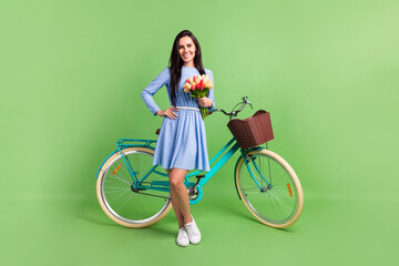 Sticker - Photo of charming confident young woman dressed blue outfit holding bike bouquet smiling isolated green color background