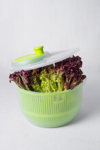 Plastic Green Salad Spinner For Drying Lettuce Leaves And Herbs. A Fresh Bunch Of Green Salad For A Recipe. Useful Kitchen Gadgets For Cooking