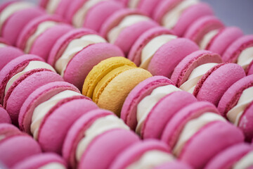 Bright macaroons taken in close-up. Colorful sweets