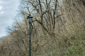  Black vintage iron lantern in the daytime among the dry trees in the forest