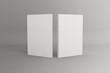 Front and back views of the standing 3D Rendering softcover book mockup