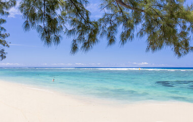 Poster - Plage paradisiaque sous les filaos, l’Hermitage, île de la Réunion 