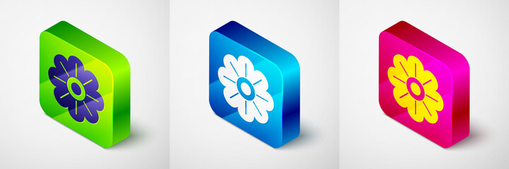 Sticker - Isometric Flower icon isolated on grey background. Square button. Vector