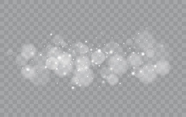 Poster - Bokeh lights isolated. Transparent blurred shapes. Abstract light effect. Vector illustration