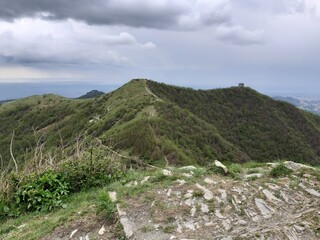 Wall Mural - Discovering the mountains around Genoa. Panoramic view to the city. Grey sky in the background. First green leaves in spring.