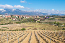 Panoramic Views Of Elciego Town With Famous Winery At Background