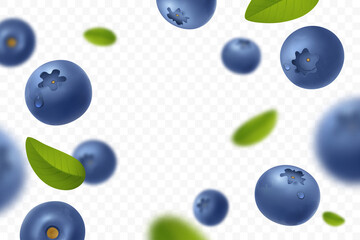 Wall Mural - Falling juicy ripe blueberry with green leaves isolated on transparent background. Flying defocusing blueberry berries. Fresh bilberry. Design element for sweets, jam advertising. Vector illustration.