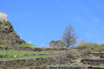 Wall Mural - Ruine der Niederburg