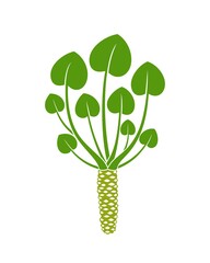 Wall Mural - Wasabi plant  logo. Isolated wasabi root on white background