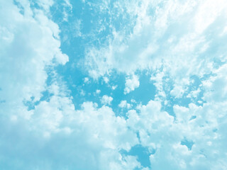  Blue sky and white clouds.  Bird flying in the sky.  New life, Never give up, Be strong and Freedom of life concept.