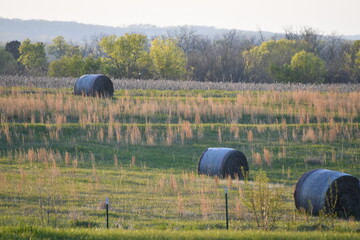 Poster - Hay Bales in a Field