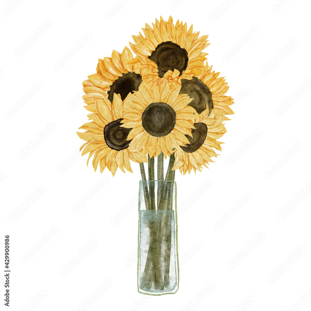watercolor sunflower bouquet illustration with glass vase Stock Vector ...