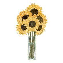 Watercolor Sunflower Bouquet Illustration With Glass Vase
