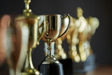 Fototapeta Konie - selective focus row of trophy on the wooden table against dark gray background