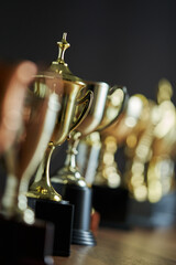 Wall Mural - selective focus row of trophy on the wooden table against dark gray background