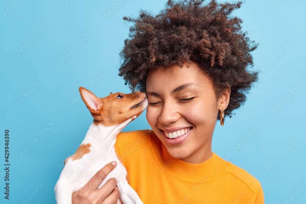 Friend of family. Close up shot of happy curly haired woman plays with dog expresses positive emotions likes animals. Small pedigree puppy licks face of owner. Adopted pet. Tender sincere feelings - obrazy, fototapety, plakaty 