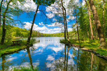 landscape and lake (Schermützelsee, Buckow, Brandenburg, Germany)