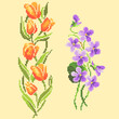 vector art cross stitch floral ornament