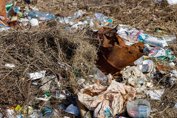 Poster - garbage lying on the grass. pollution