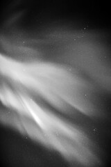 Sticker - Night starry sky. Northern lights, aurora borealis. Black white vector