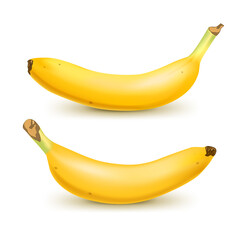 Set of 2 realistic bananas isolated on white background.. Tropical fruits. 3D vector illustration