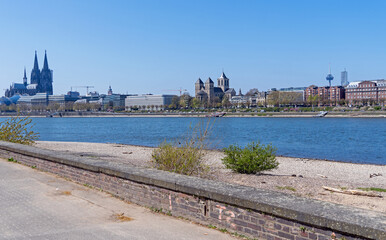 Poster - Kölner Rheinpark im Frühling