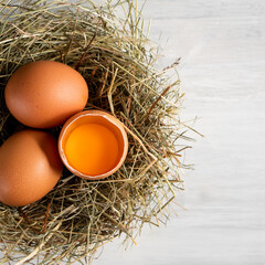 Wall Mural - Closeup raw white brown organic fresh eggs shell with yolk from happy chicken hen free range farm on nature hatch grass straw nest healthy protein food symbol of spring season birth easter festival